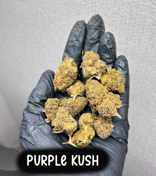 purple kush(Indica)