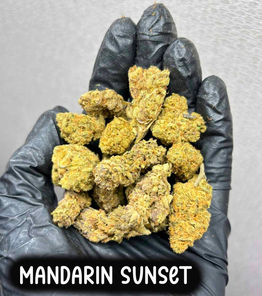 mandarin sunset(Hybrid)