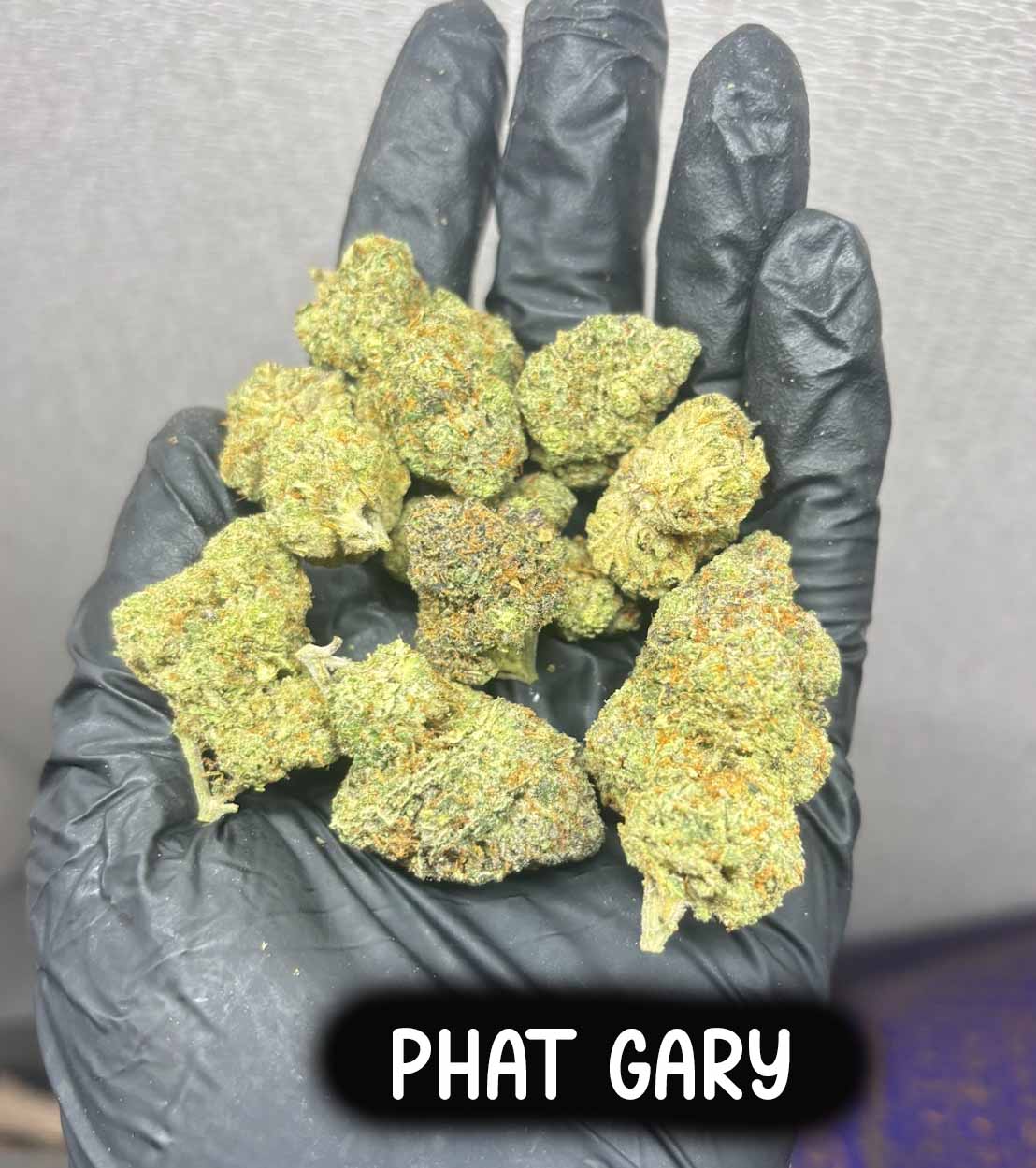 Phat Gary (Sativa)