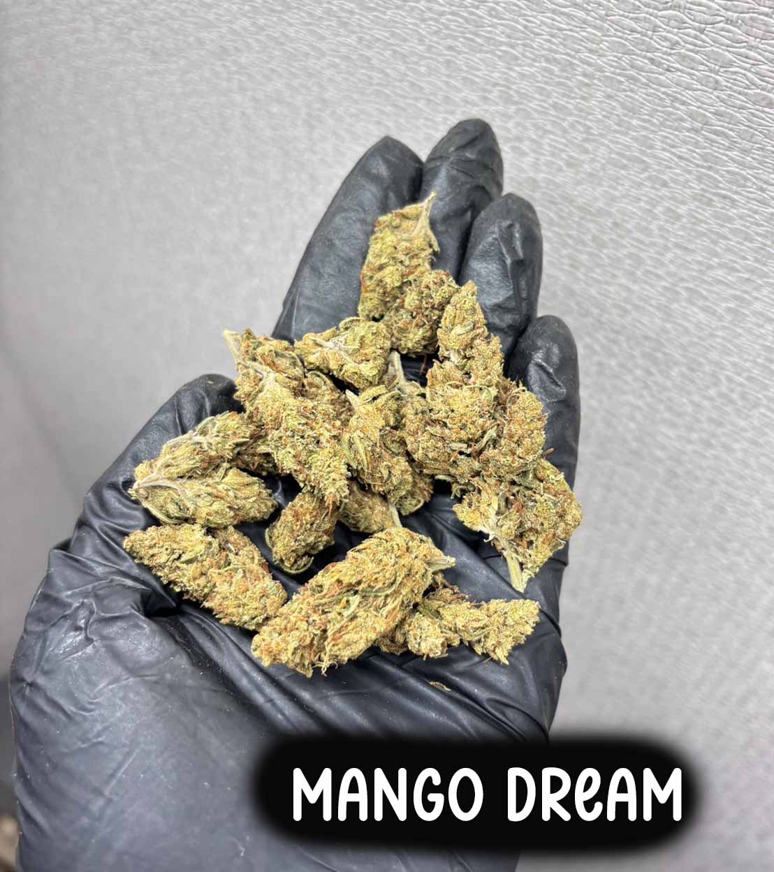 Mango Dream (Sativa)