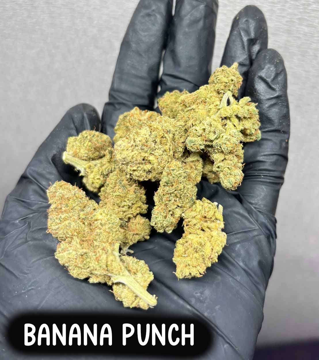 banana punch(Indica)