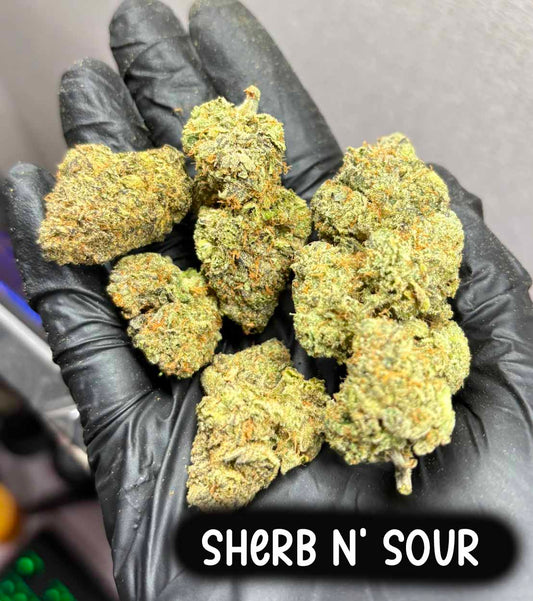 Sherb N' sour (Sativa)