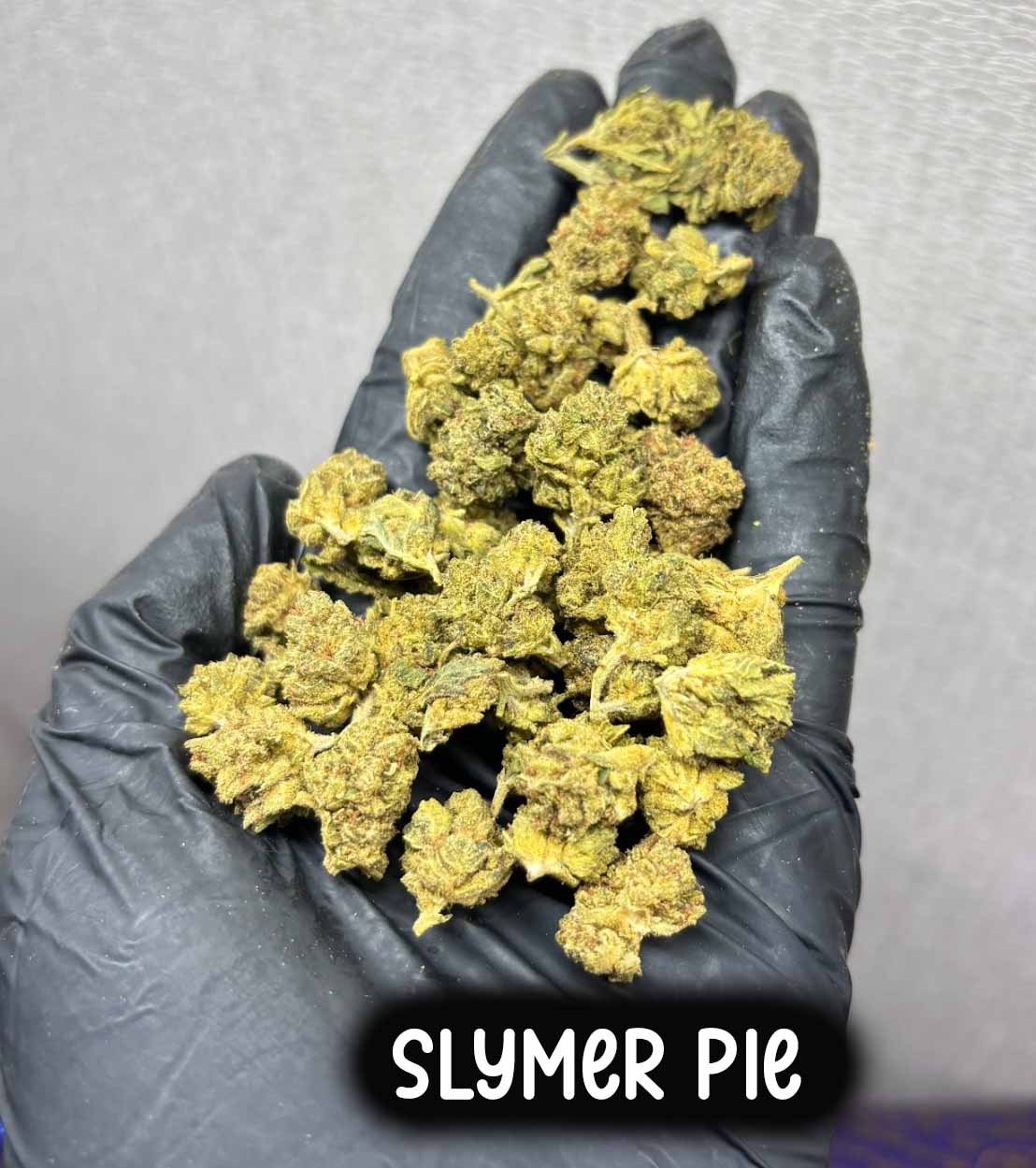 Slymer Pie (Sativa)