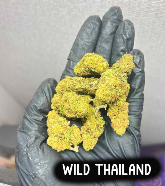 Wild thailand(Sativa)