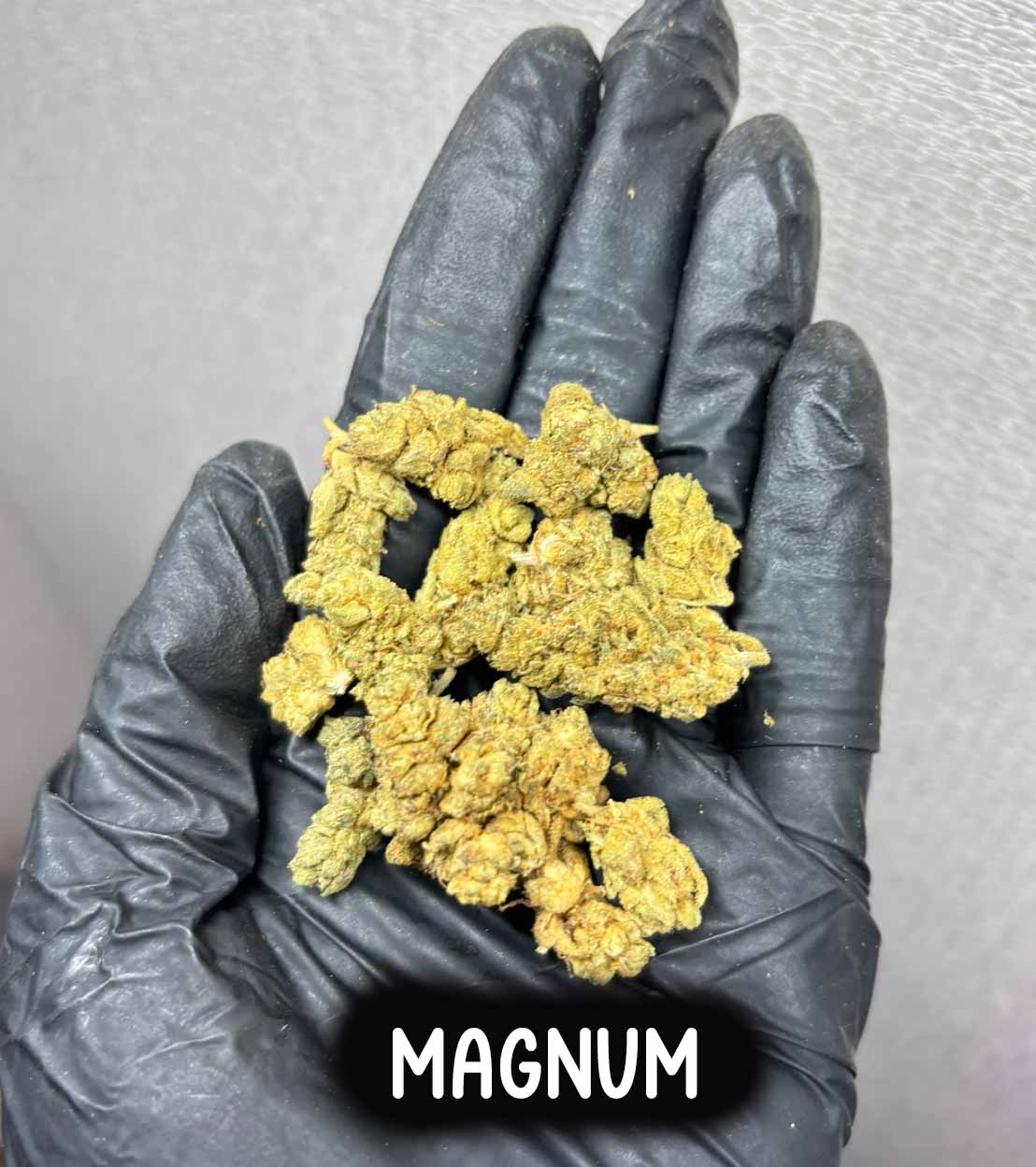 magnum(Hybrid)