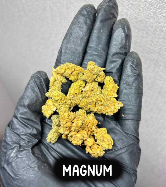 magnum(Hybrid)