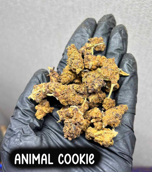 animal cookie(Indica)