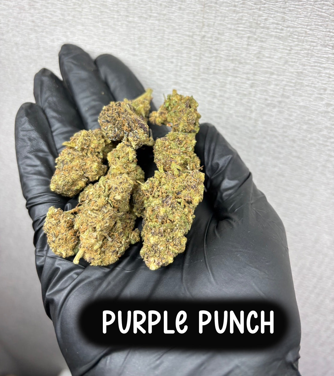 purple punch(Indica)