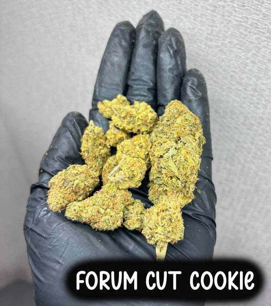 Forum Cut Cookies(Hybrid)